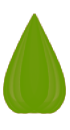 Oliiv tilgakuju Oliiv tilgakuju
